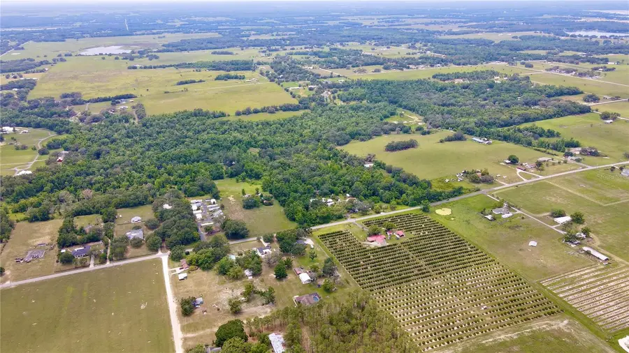 14435 Curley Road, Dade City, FL 33525 - Image #3