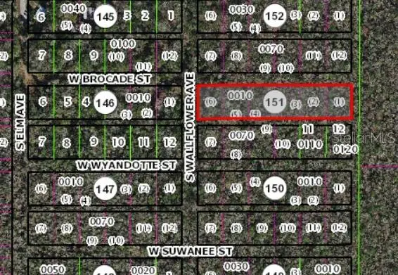 10006 W Brocade Street, Homosassa, FL 34448 - Image #1