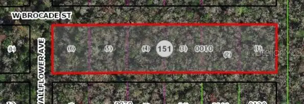 10006 W Brocade Street, Homosassa, FL 34448 - Image #2