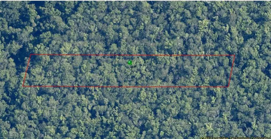 10006 W Brocade Street, Homosassa, FL 34448 - Image #3