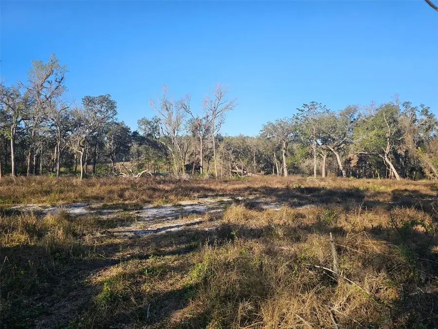 359 Savannah Oaks Drive, Brooksville, FL 34602 - Image #2