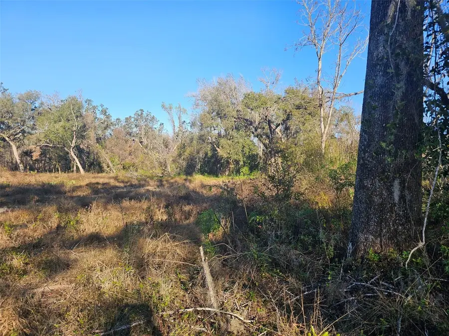 359 Savannah Oaks Drive, Brooksville, FL 34602 - Image #3