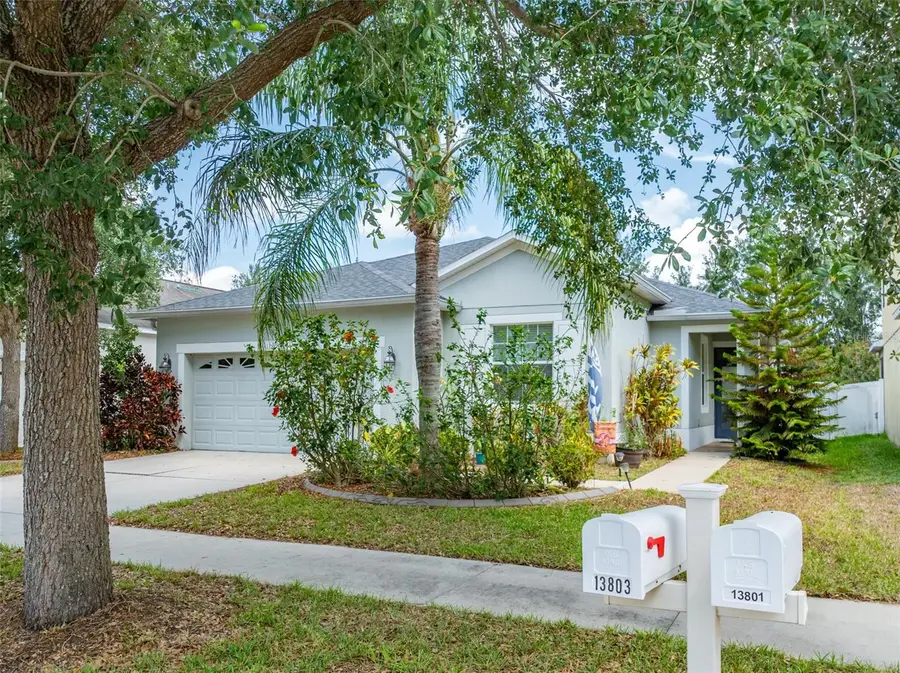 13803 Chalk Hill Pl, Riverview, FL 33579 - Image #2