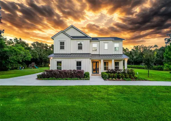 2890 Alexandria Marie Lane, LUTZ, FL 33559