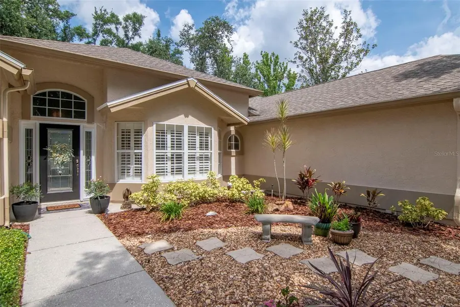 3821 Turkey Oak Dr, Valrico, FL 33596 - Image #3