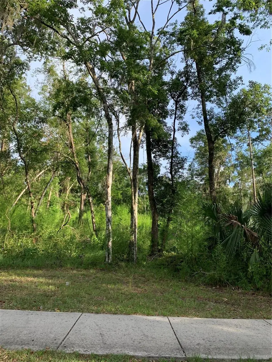 625 W Dr M L King Jr Boulevard, Brooksville, FL 34601 - Image #1