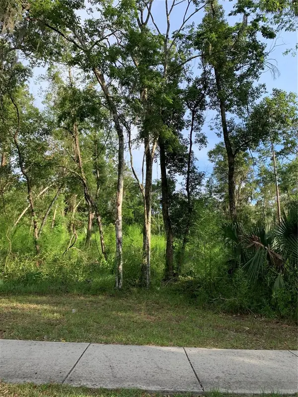 625 W Dr M L King Jr Boulevard, BROOKSVILLE, FL 34601