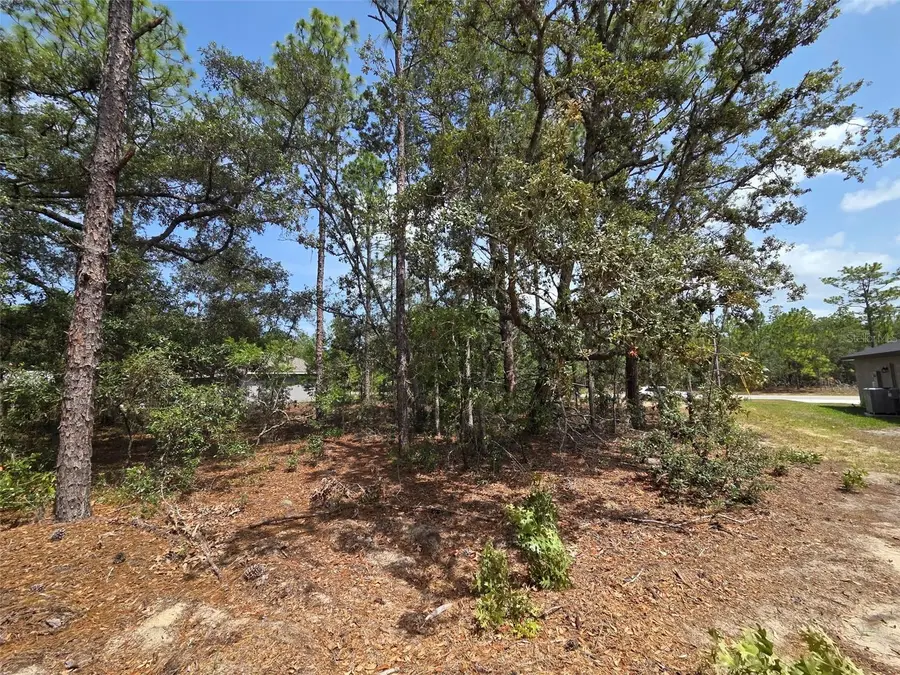 1816 W Hampshire Boulevard, Citrus Springs, FL 34434 - Image #3