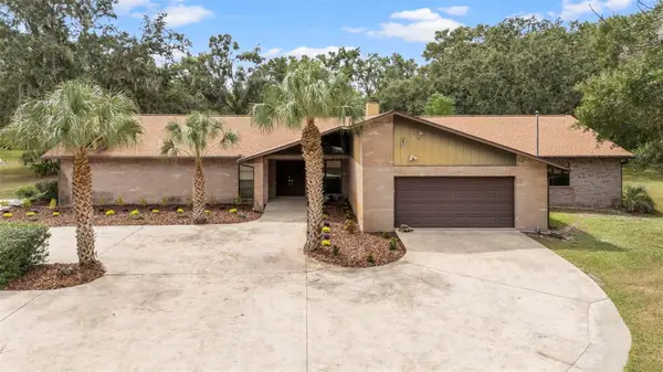 309 Hidden Lake Drive, BRANDON, FL 33511