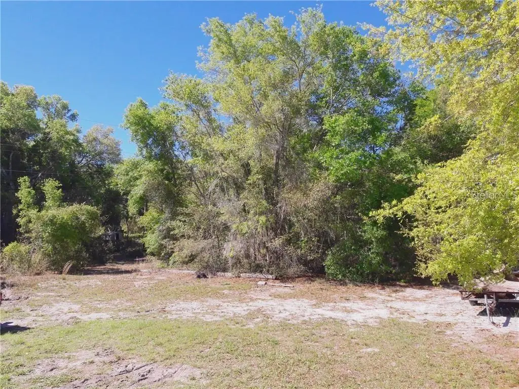 Lake Lowery Road, Haines City, FL 33844 - Image #1