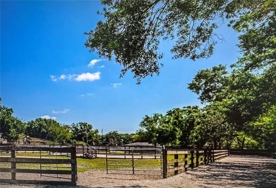 10520 Henderson Road, Tampa, FL 33625 - Image #2