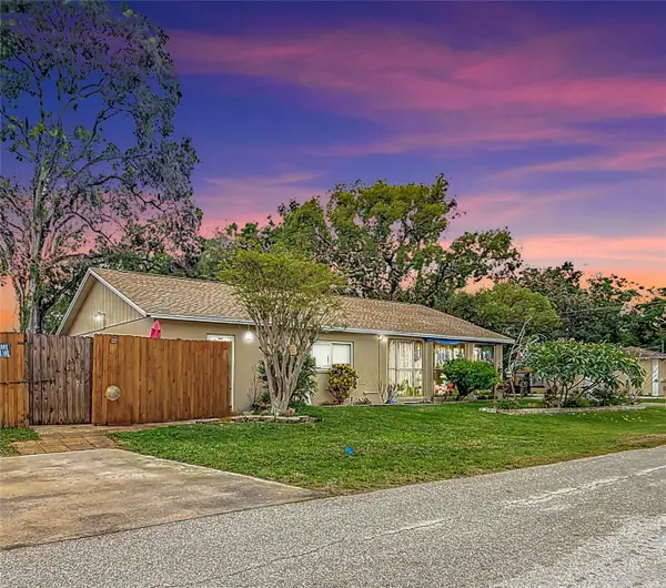 6425 S Adelia Avenue, TAMPA, FL 33616