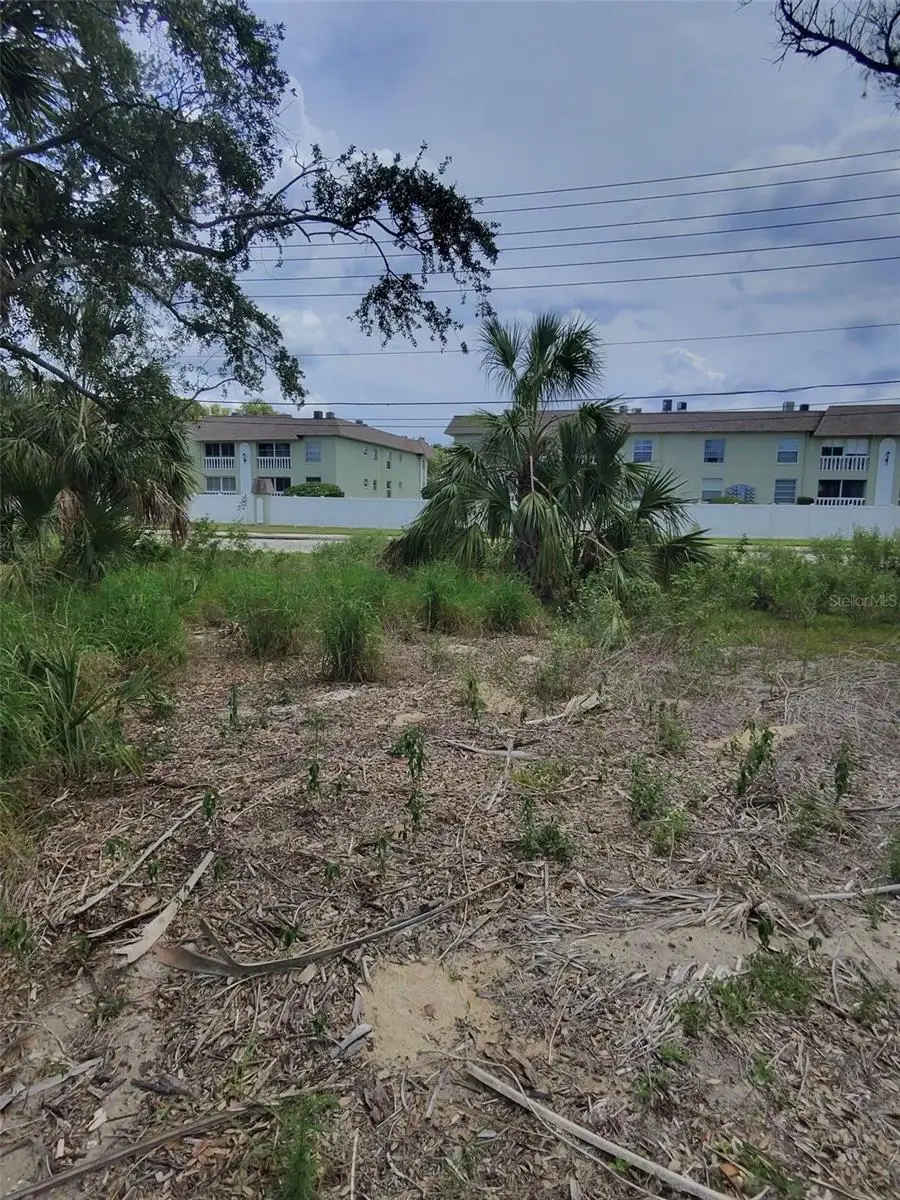 190 Meres Boulevard, Tarpon Springs, FL 34689 - Image #3