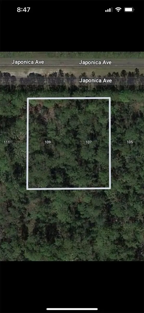 109 Japonica Avenue, Indian Lake Estates, FL 33855 - Image #1