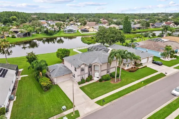 18219 Bittern Avenue, LUTZ, FL 33558