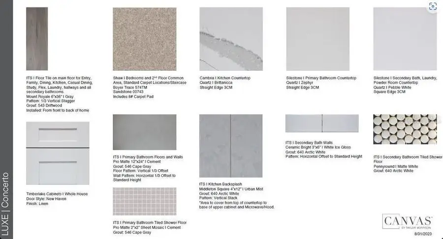 29606 Imperati Boulevard, Wesley Chapel, FL 33543 - Image #3