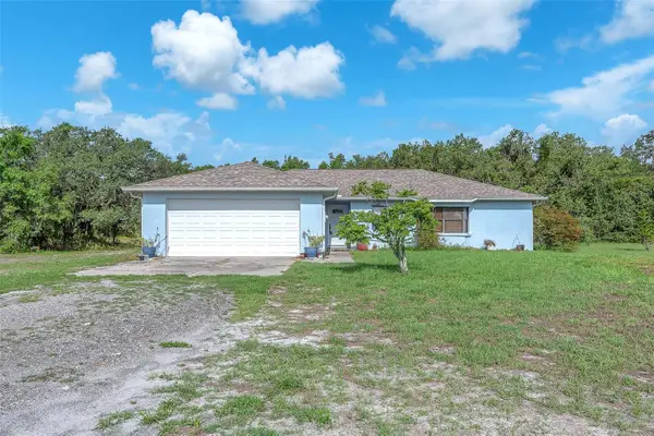 17023 Alderman Turner Road, WIMAUMA, FL 33598