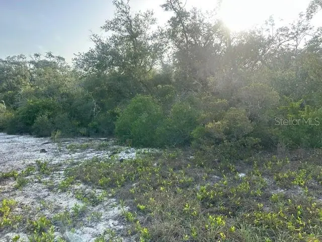 259 Dargen Drive, Lake Placid, FL 33852 - Image #3