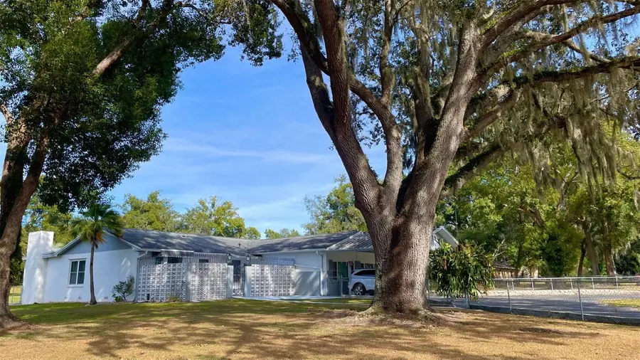 38819 Otis Allen Road, Zephyrhills, FL 33540 - #2