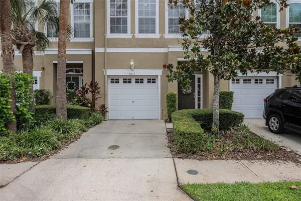 3053 Pointeview Drive, TAMPA, FL 33611