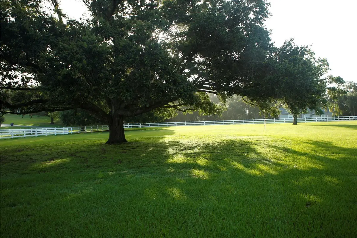 Sky Ridge Circle, Dade City, FL 33525 - Image #1