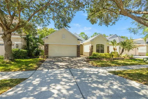 17910 Timber View Street, TAMPA, FL 33647