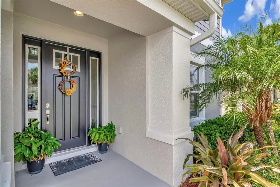 26972 Evergreen Chase Drive, Wesley Chapel, FL 33544 - Image #3