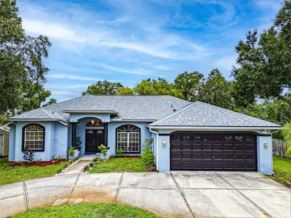 22946 Brownwood Court, LAND O LAKES, FL 34639