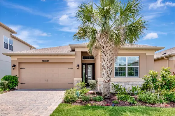 3060 Mountain Spruce Terrace, WESLEY CHAPEL, FL 33543