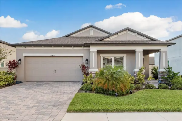 12451 Nouveau Avenue, SPRING HILL, FL 34610