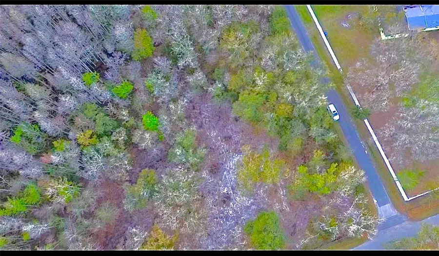 Broken Arrow Drive, Thonotosassa, FL 33592 - Image #2