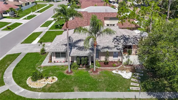 6001 Lemon Tree Ct, TAMPA, FL 33625