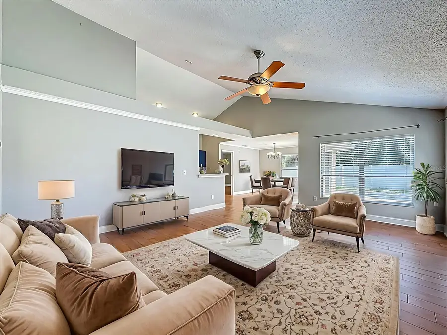 6001 Lemon Tree Ct, Tampa, FL 33625 - Image #3