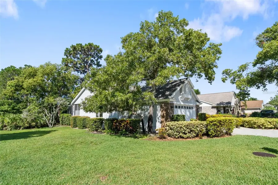 2182 Trevor Road, Palm Harbor, FL 34683 - Image #3