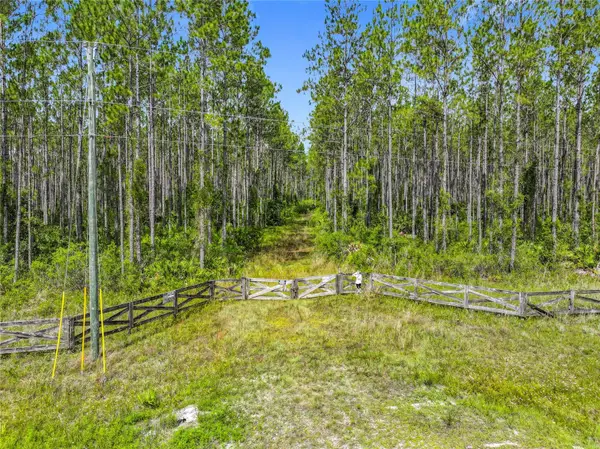 TBD NW Cr 336, CHIEFLAND, FL 32626