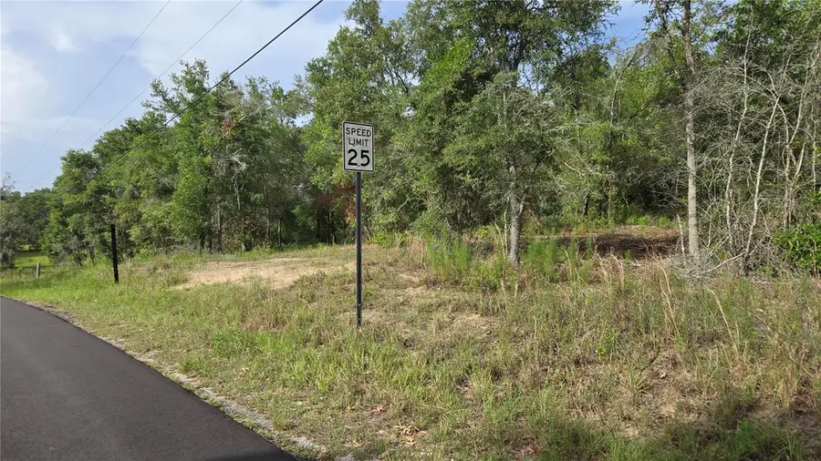 4811 N Redwood Avenue, Hernando, FL 34442 - Image #2