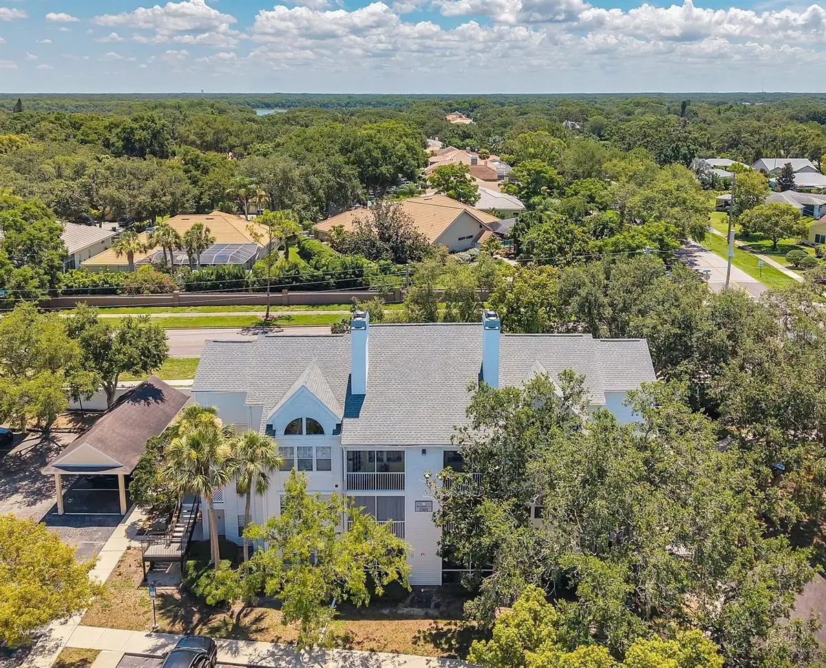 3301 Haviland Ct #301, Palm Harbor, FL 34684 - Image #1