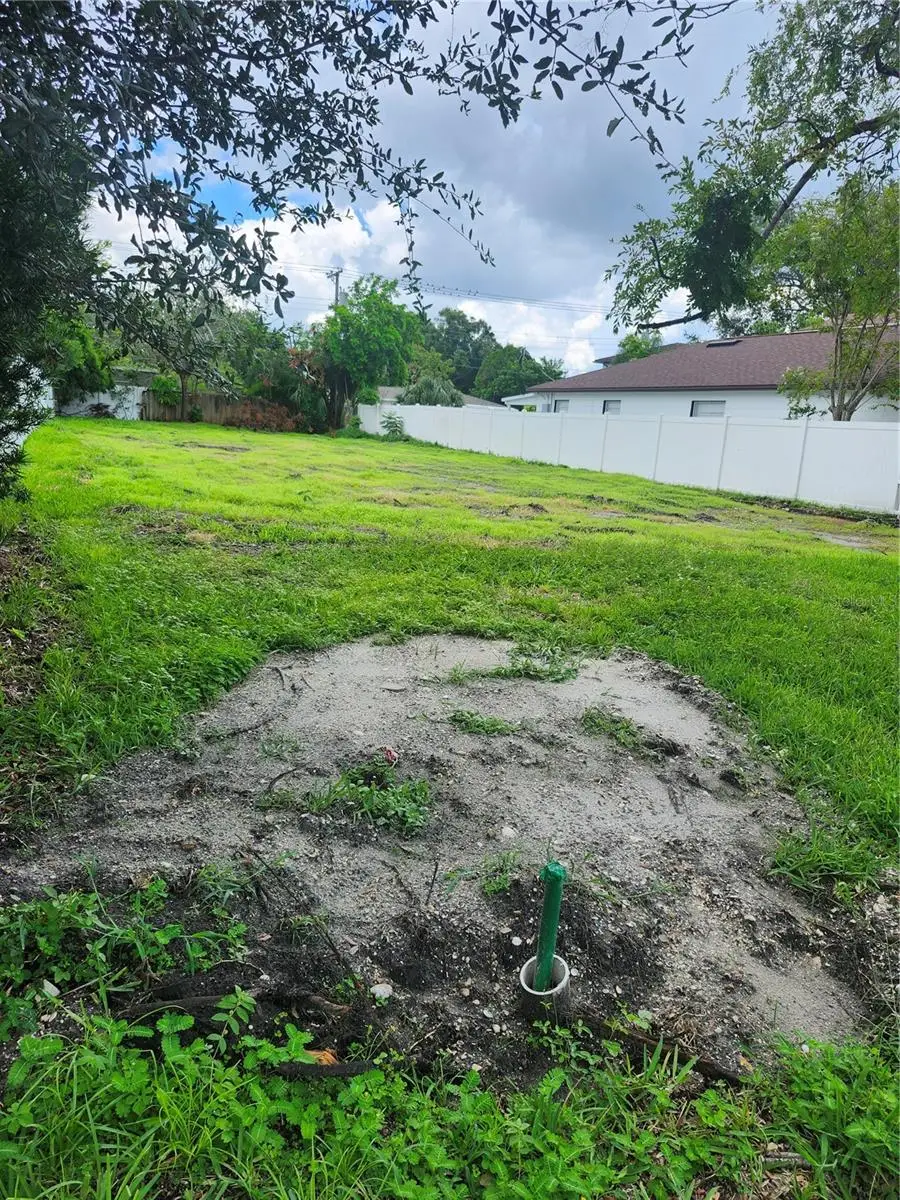 507 Danube Avenue, Tampa, FL 33606 - Image #2