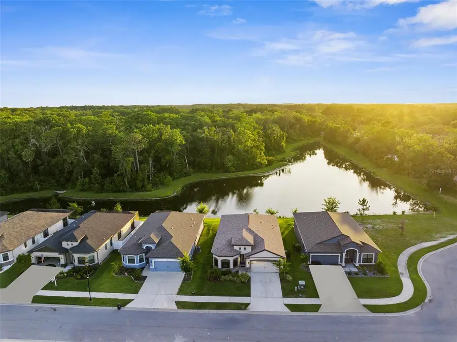 11597 Weaver Hollow Road, New Port Richey, FL 34654 - Image #3