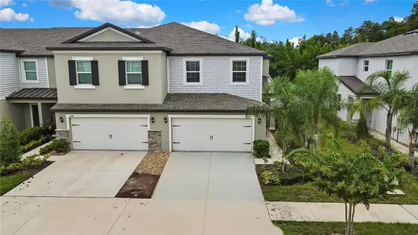 2155 Cerulean Sky Drive, LUTZ, FL 33558