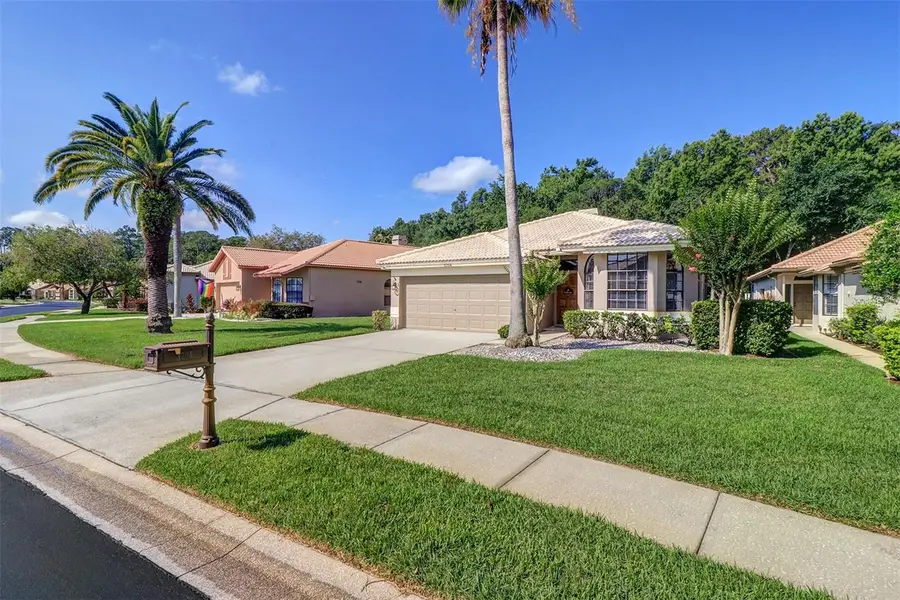 3704 Darston Street, Palm Harbor, FL 34685 - Image #3