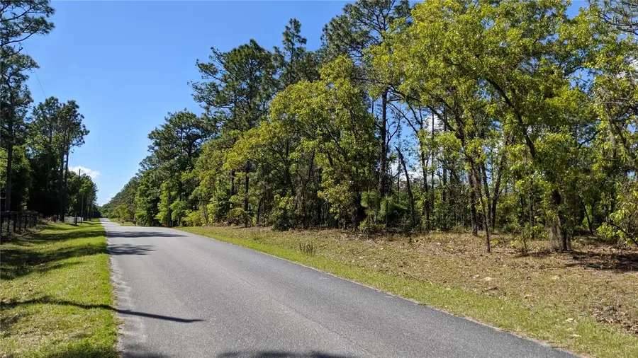 0 SW 97th Place, Dunnellon, FL 34432 - Image #2
