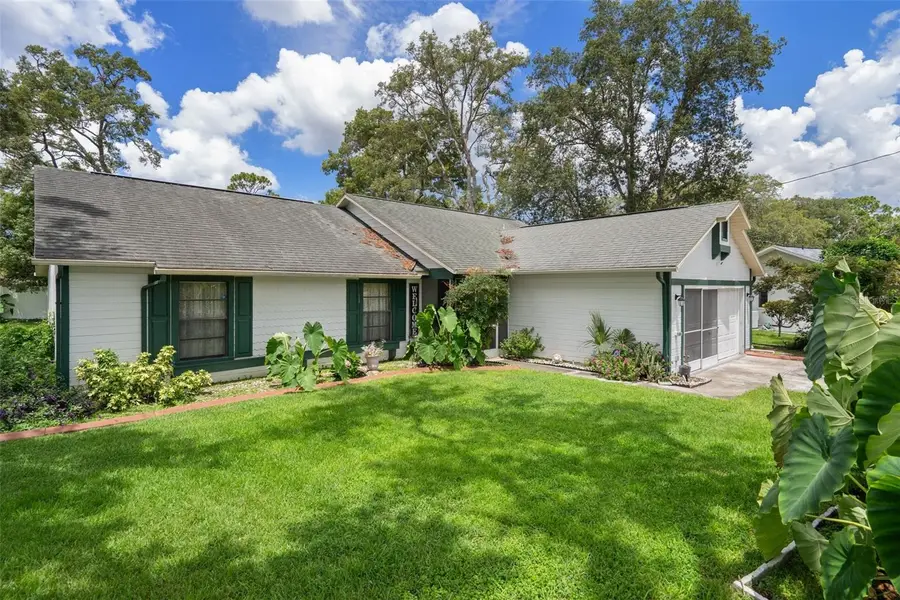 5301 Bayonne Avenue, Spring Hill, FL 34608 - #3