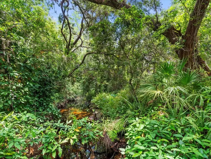 16035 Chastain Road, Odessa, FL 33556 - Image #2