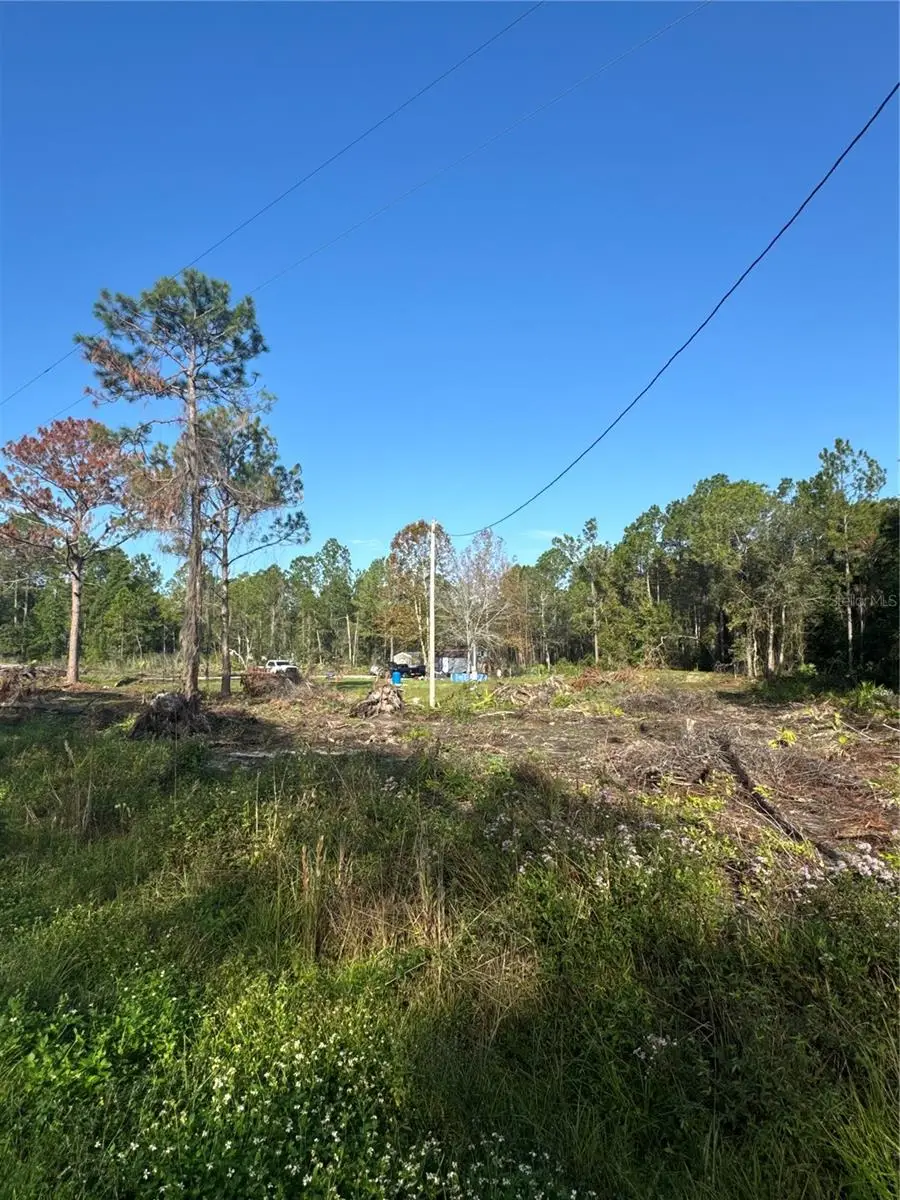 8798 E Highway 318, Citra, FL 32113 - Image #3