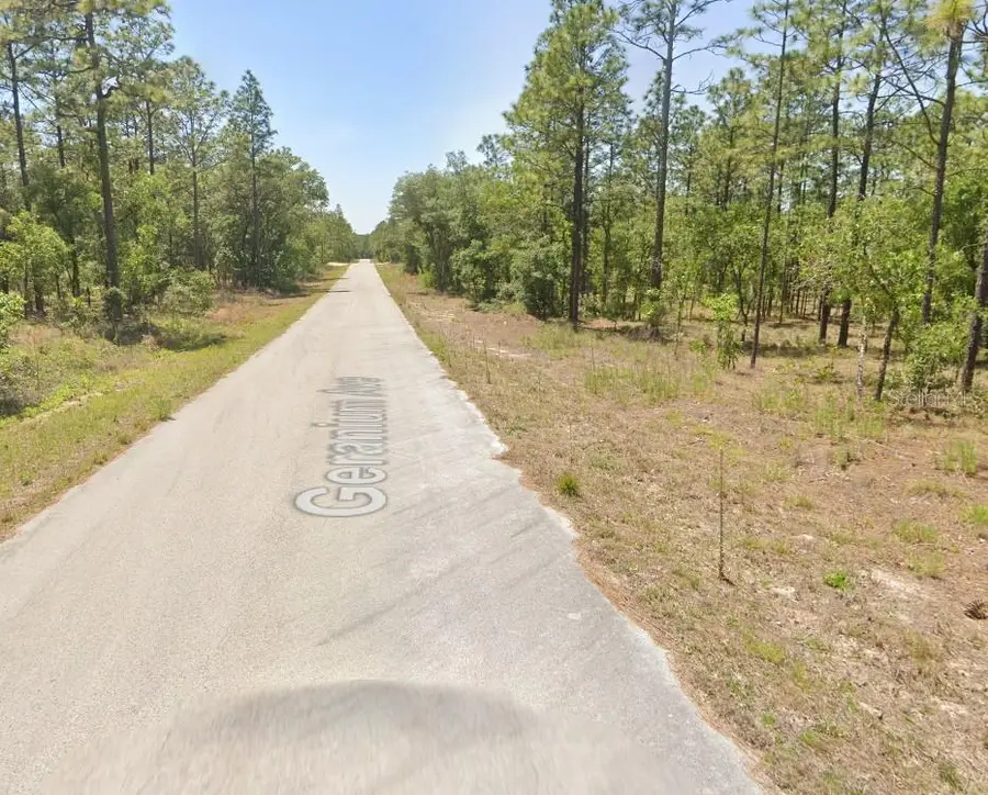 454605 NW Geranium Avenue, Dunnellon, FL 34431 - Image #2