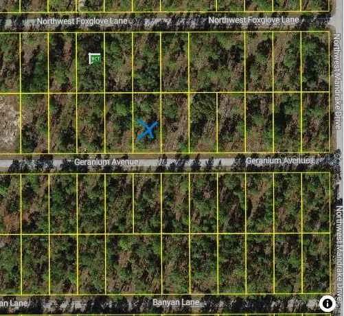 454605 NW Geranium Avenue, Dunnellon, FL 34431 - Image #3