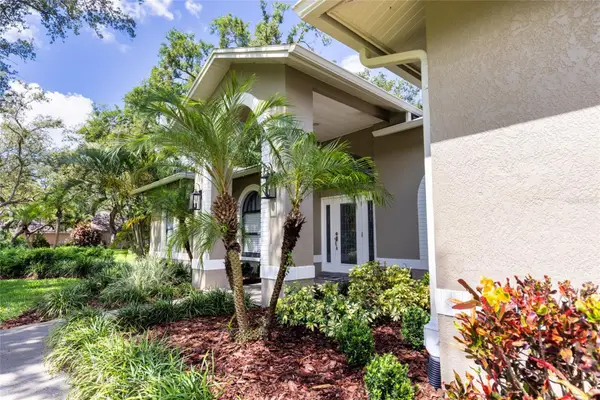 8901 Eagle Watch Drive, RIVERVIEW, FL 33578