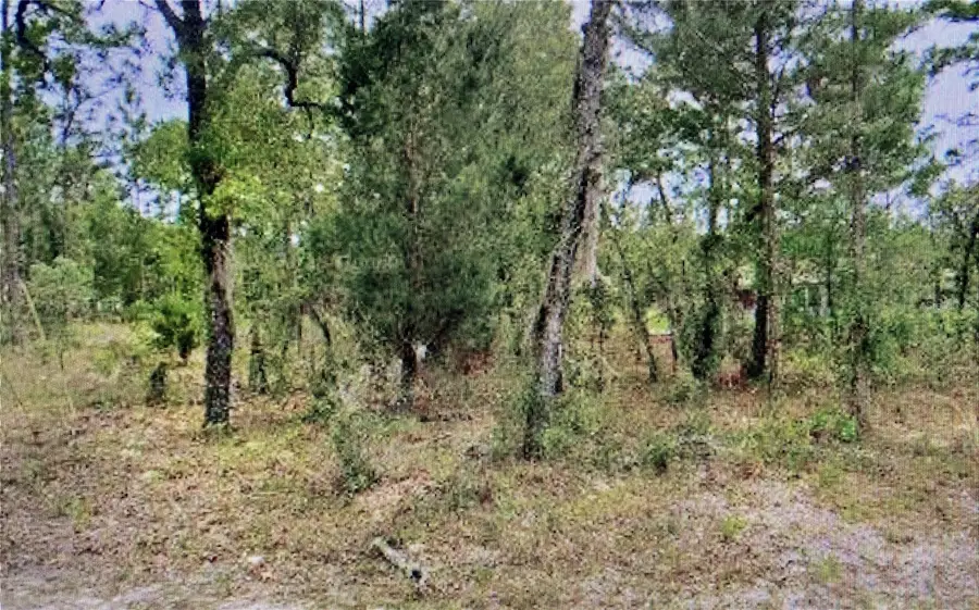 2842 W Leeward Place, Citrus Springs, FL 34433 - #2