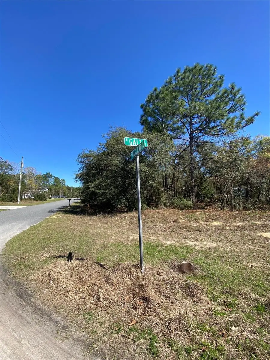 7209 N Galt Point, Citrus Springs, FL 34434 - Image #3